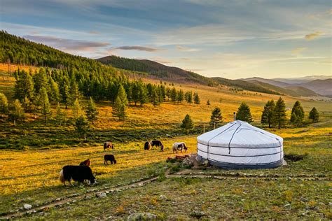 Der Argal-See: Ein funkelndes Juwel im Herzen der Mongolei!