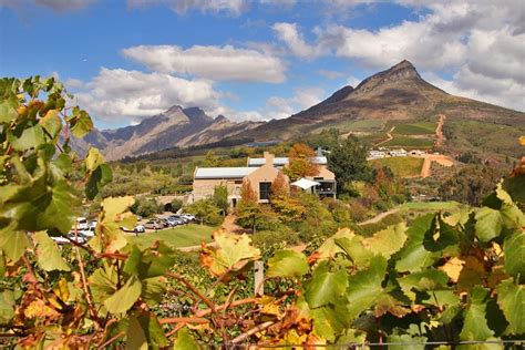 Die Stellenbosch Wineries: Ein Erlebnis für alle Sinne und ein Muss für jeden Weinliebhaber!