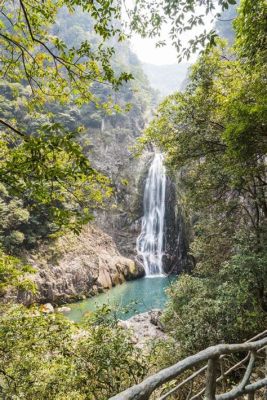 Das Longwan-Parkungebiet – Ein wahrer grüner Juwel für Naturliebhaber und Ruhesuchende!